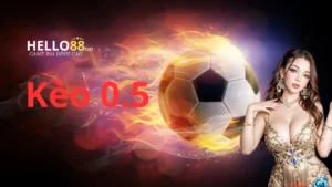 Kèo 0.5 là gì ?
