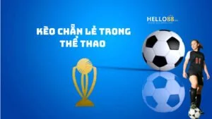 Hello88 - Kèo chẵn lẻ là gì?
