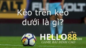 Kèo trên dưới là gì? Là một dân chơi cá cược thể thao phải biết đến