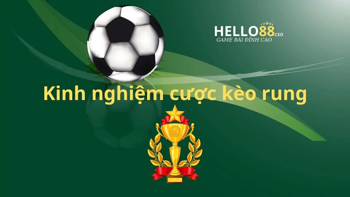 Kinh nghiệm cá cược kèo rung hiệu quả, dễ thắng từ cao thủ