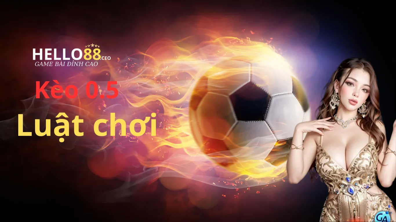 Khám phá luật chơi kèo 0.5 tại thể thao Hello88.