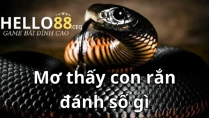 Mơ thấy rắn có ý nghĩa tâm linh gì?