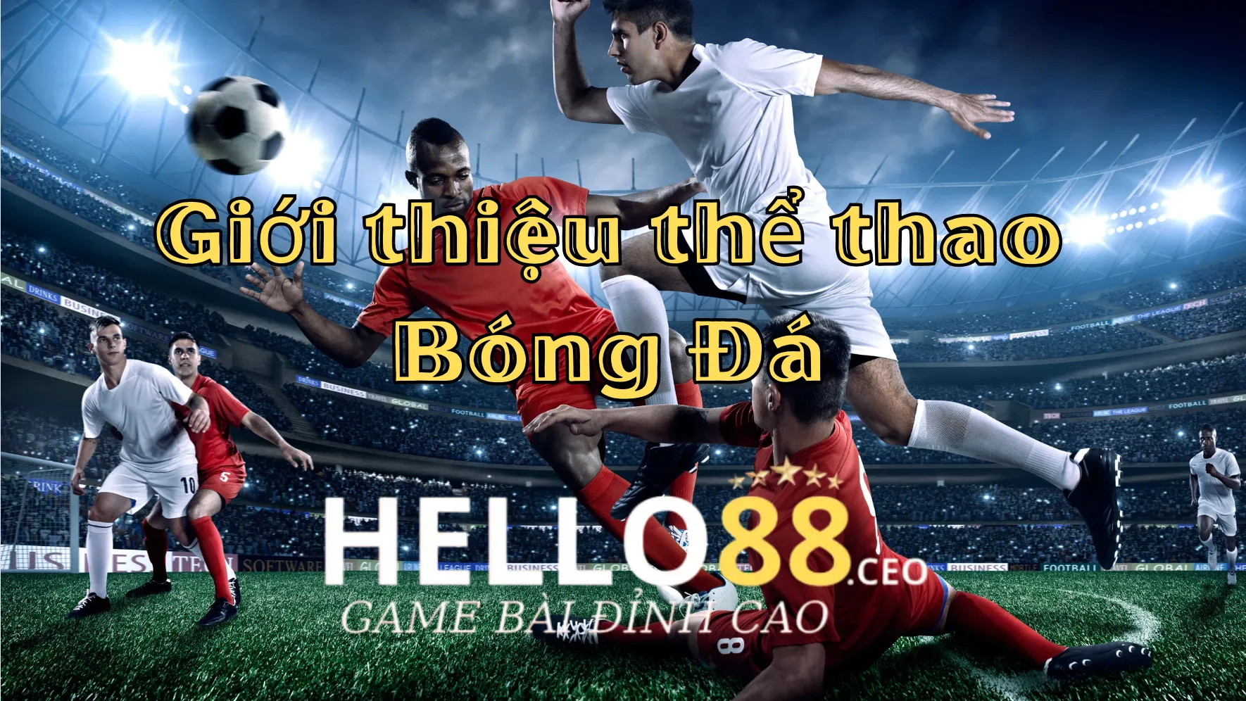 Bóng đá là bộ môn thể thao vua được nhiều người yêu thích Bóng đá là bộ môn thể thao vua được nhiều người yêu thích