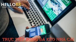 Trực tiếp bóng đá kèo nhà cái