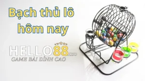 Bạch thủ lô hôm nay