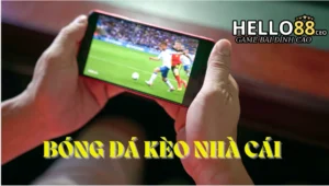 Những kinh nghiệm nhận định bóng đá kèo nhà cái hiệu quả