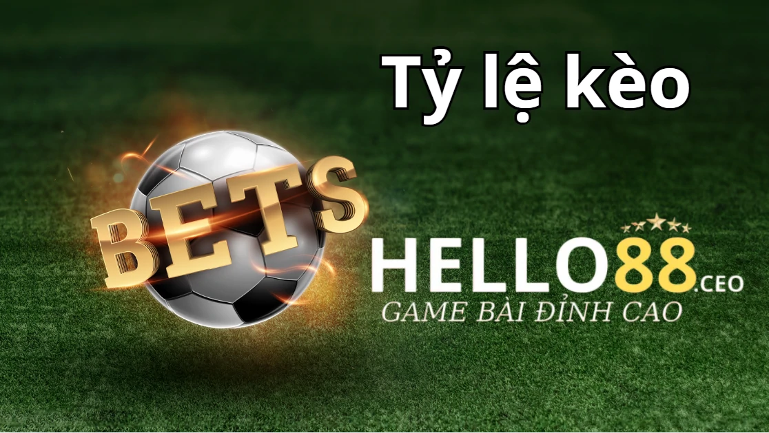Tỷ lệ kèo hay còn gọi là odds Tỷ lệ kèo hay còn gọi là odds